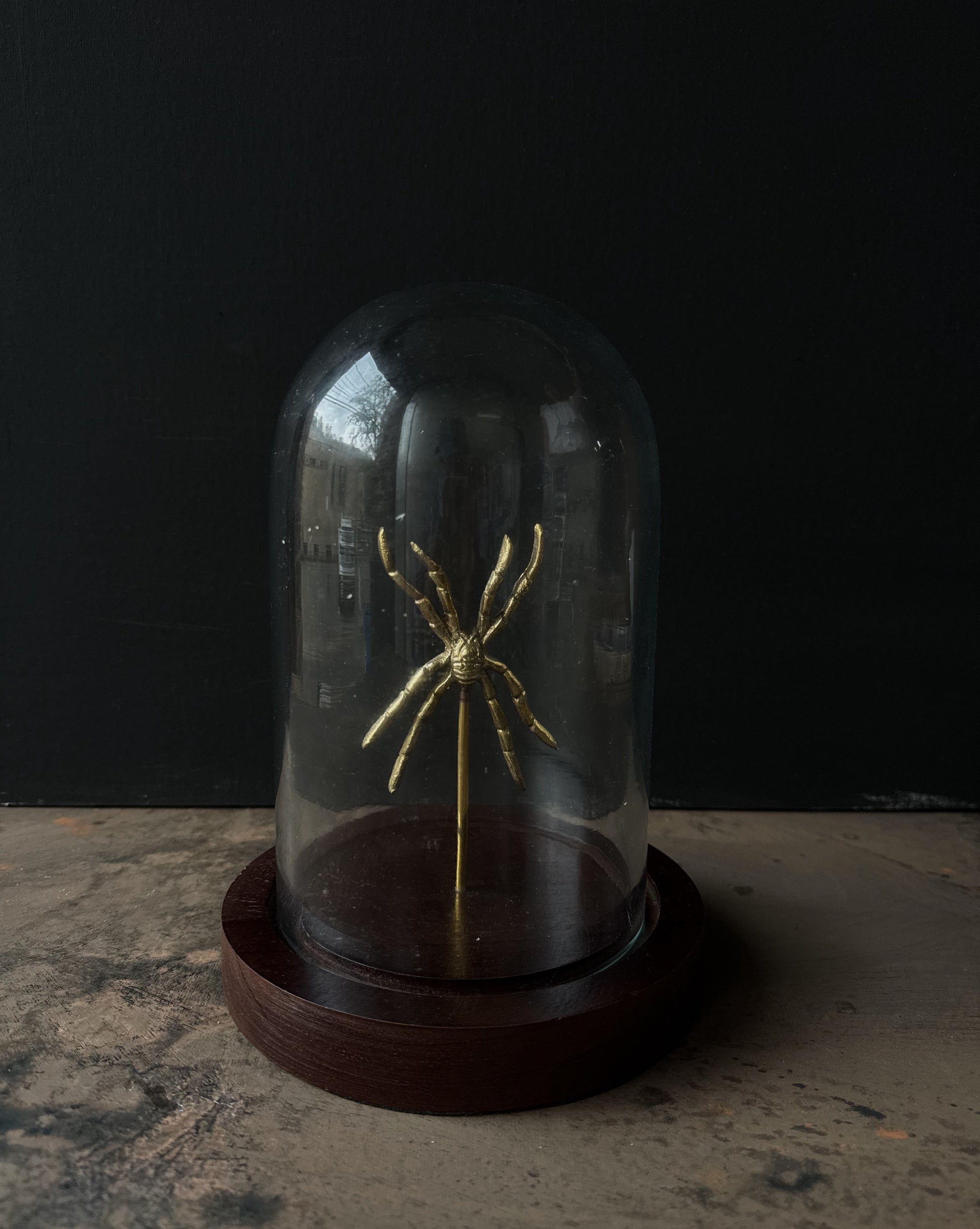 Specimen Cloche
