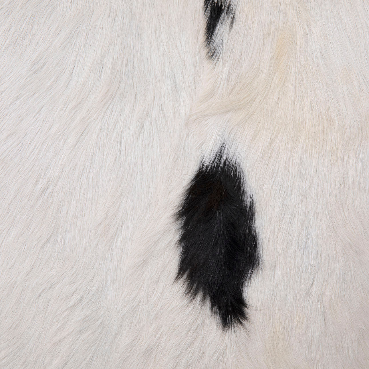 Hide Chair