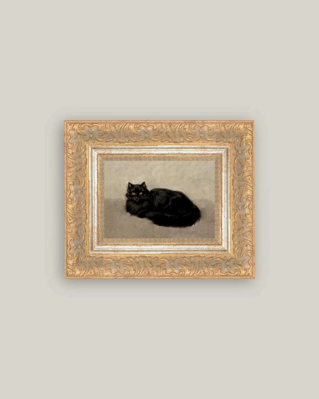 Black Cat