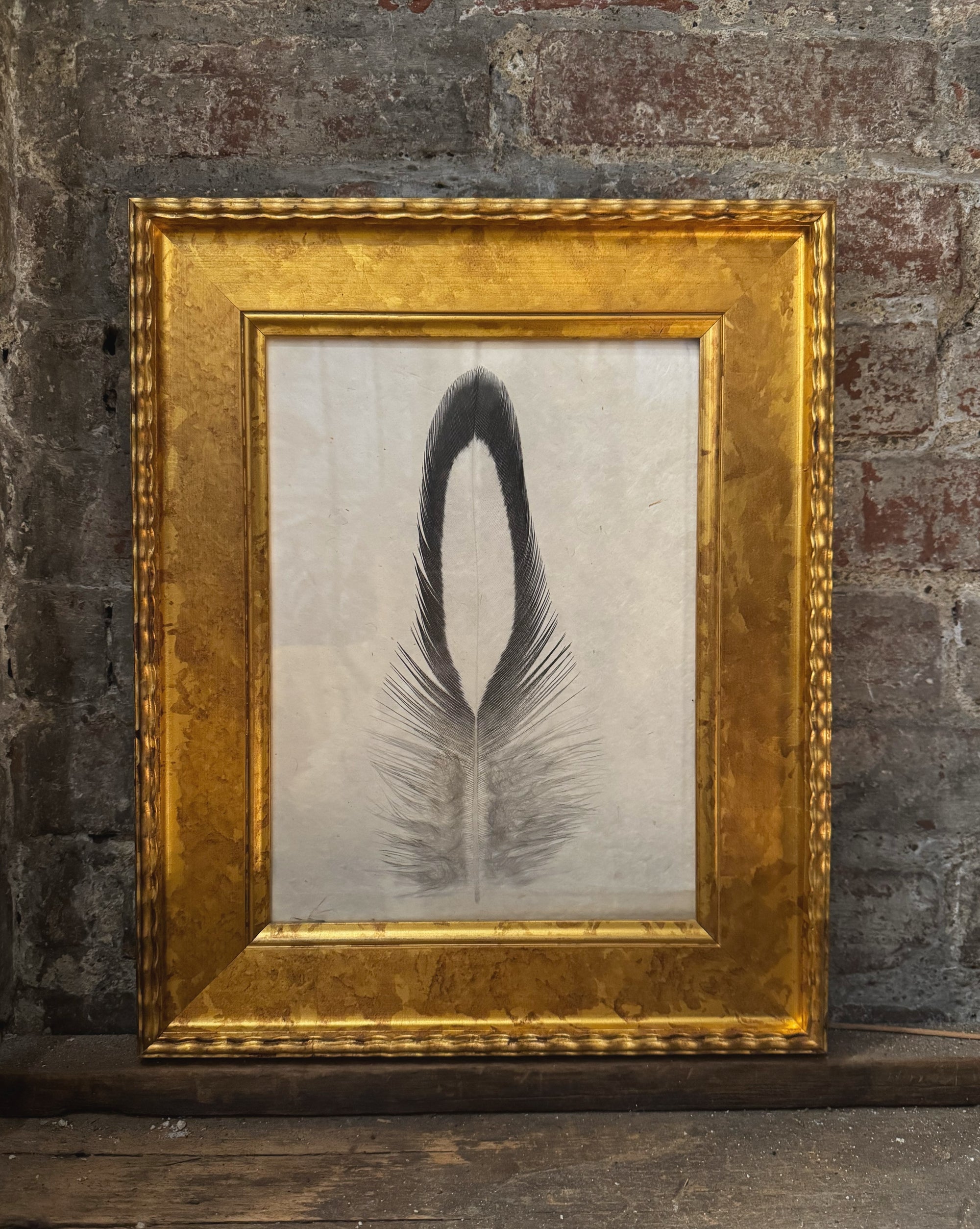 Feather 1