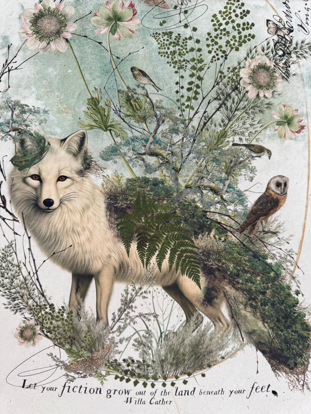 Artic Fox
