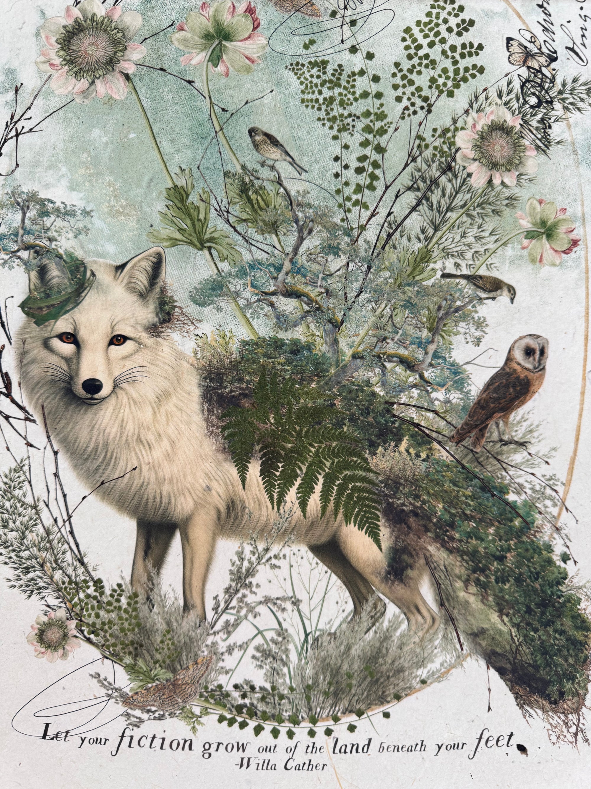 Artic Fox