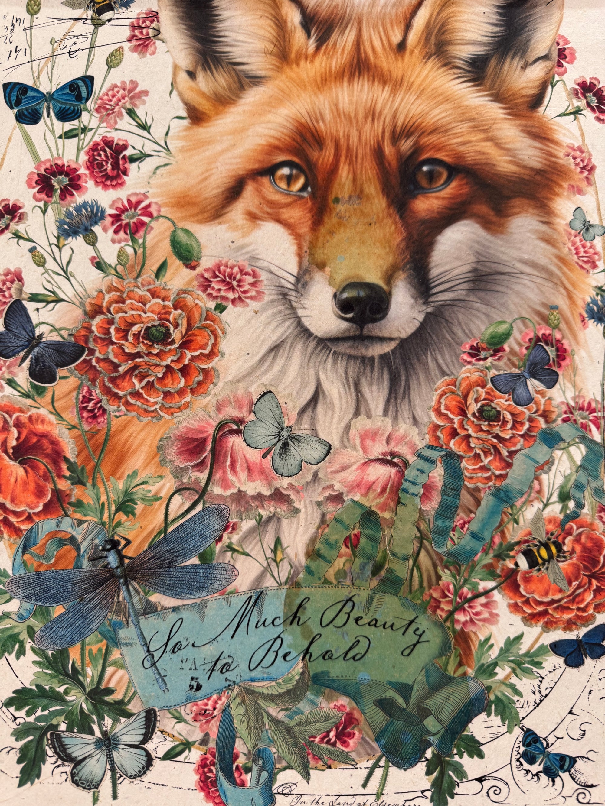 Foxy