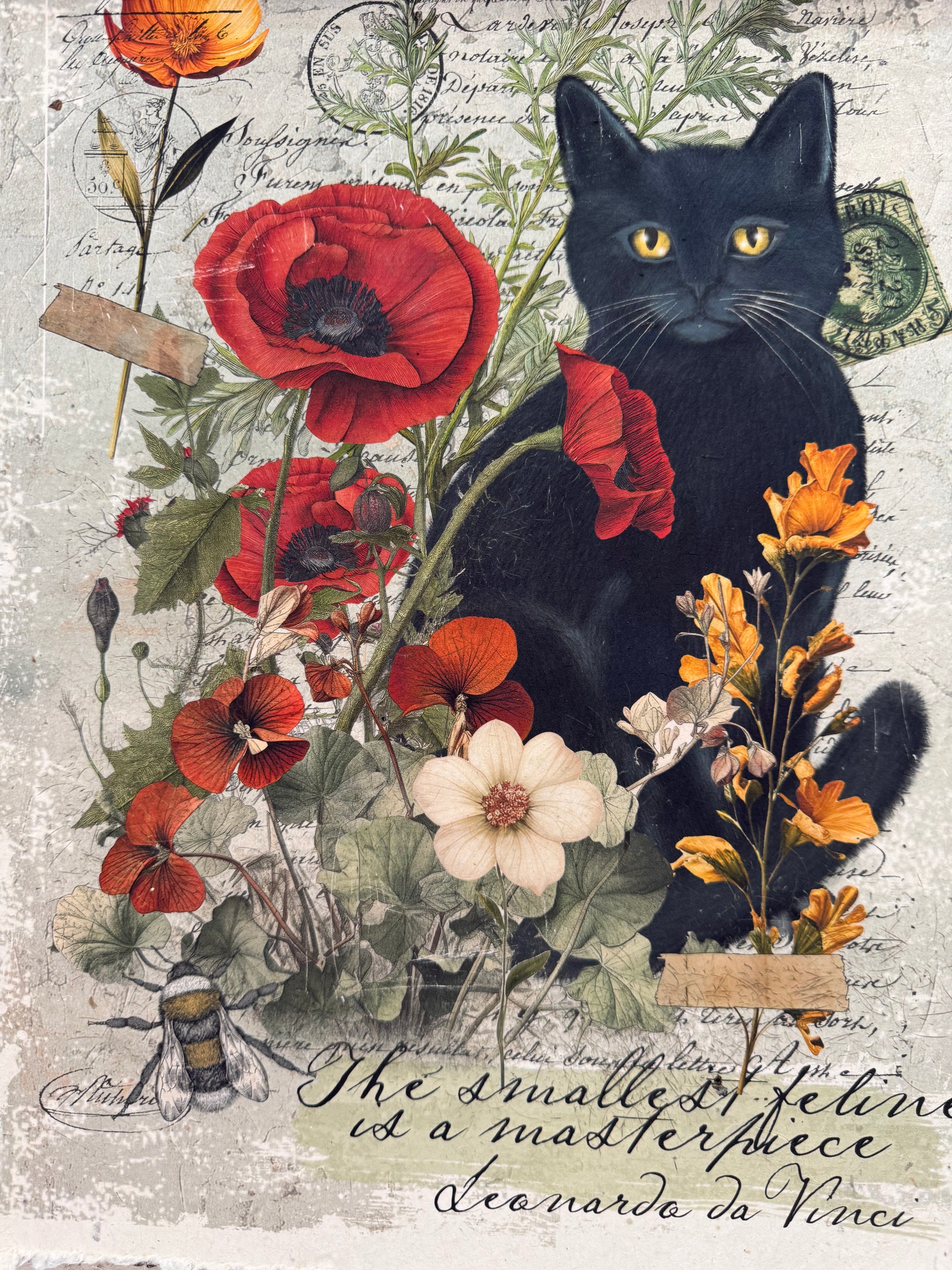 Black Cat Art