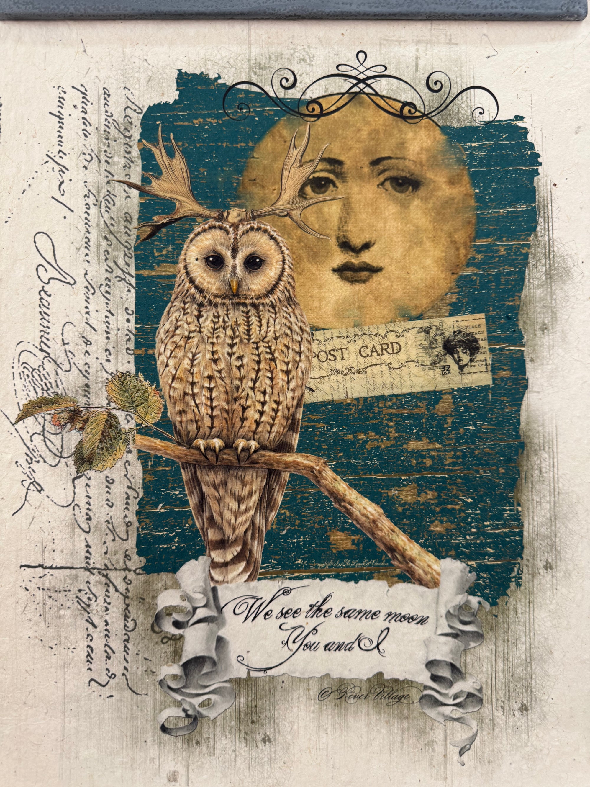 Owl Art