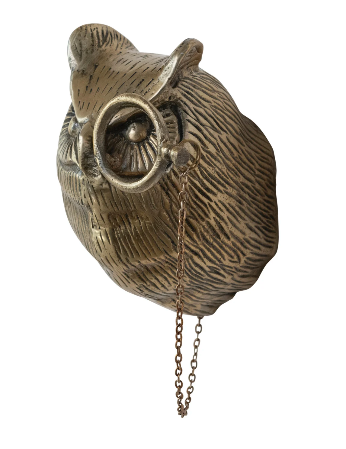 Owl with Monocle