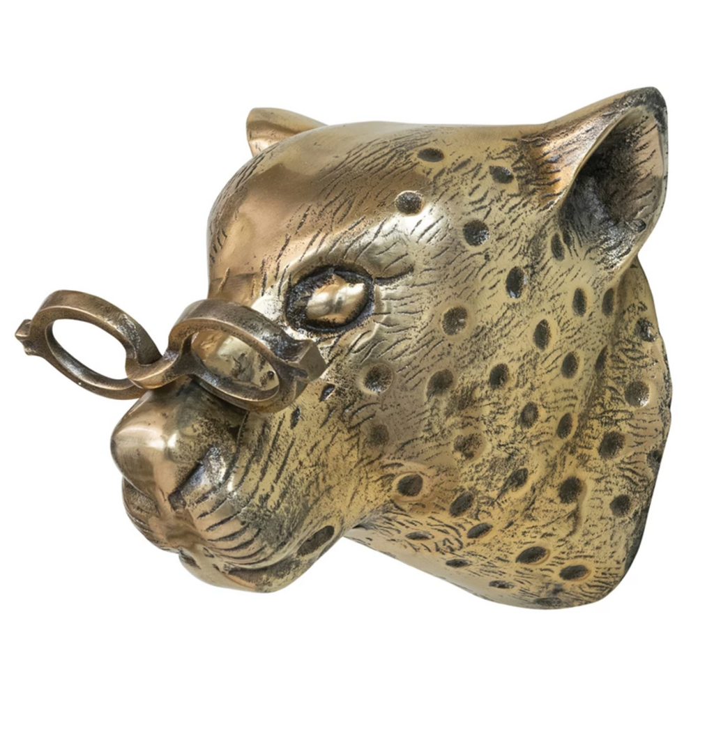 Leopard with Glasses