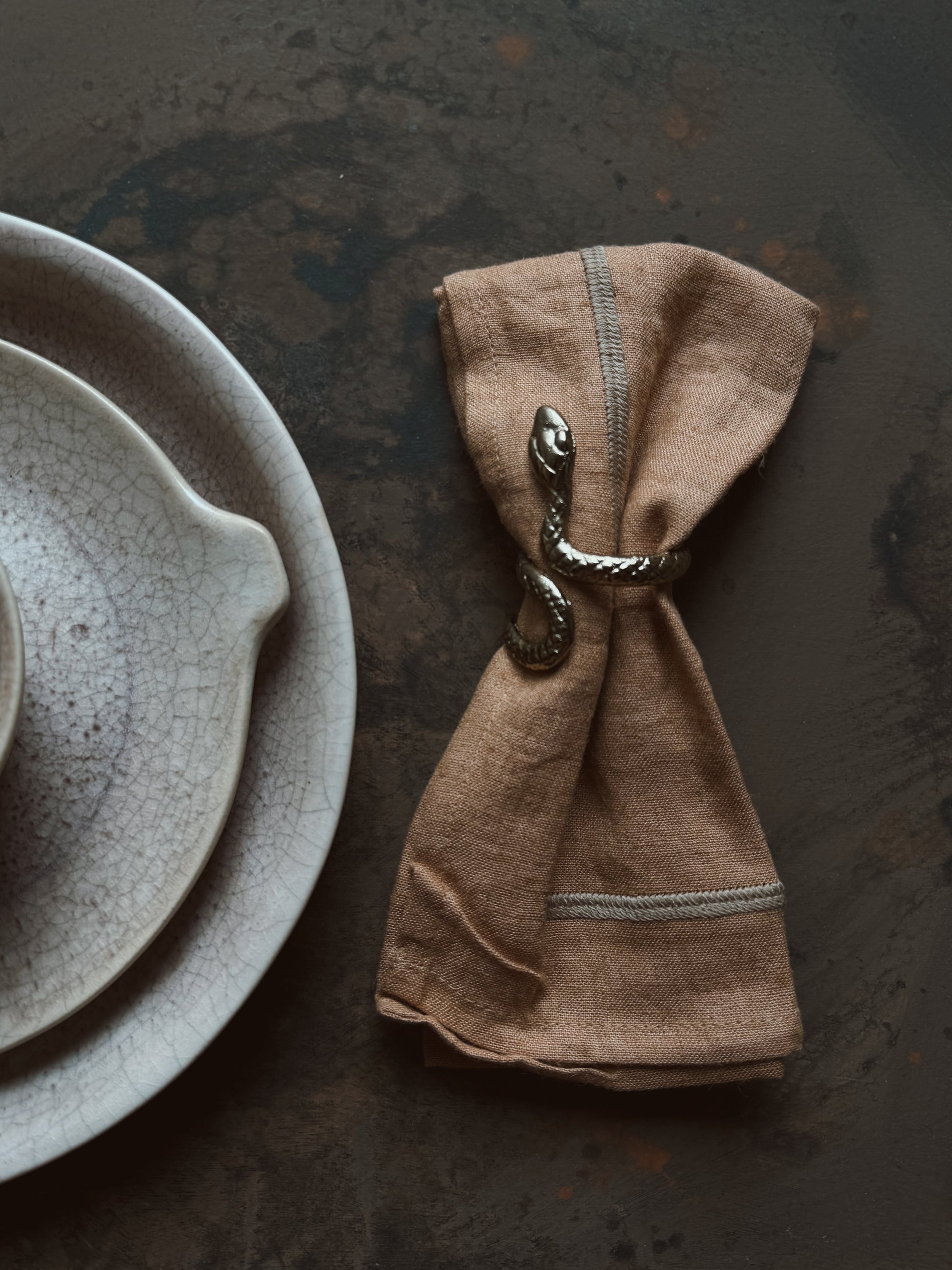 Snake Napkin Holders