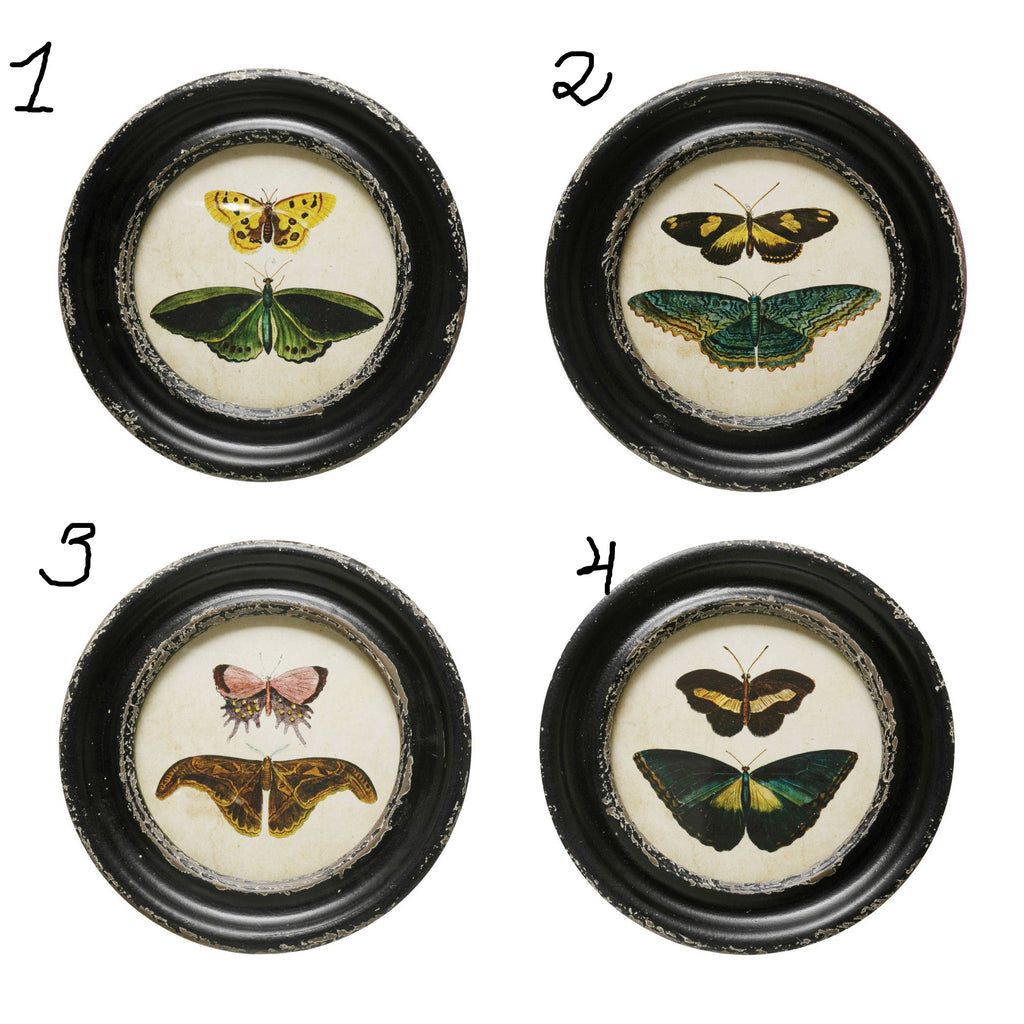 Framed Moths